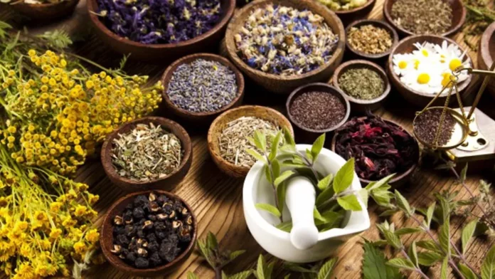 10 Miraculous Herbs for Rapid Weight Gain | ORBITAL AFFAIRS
