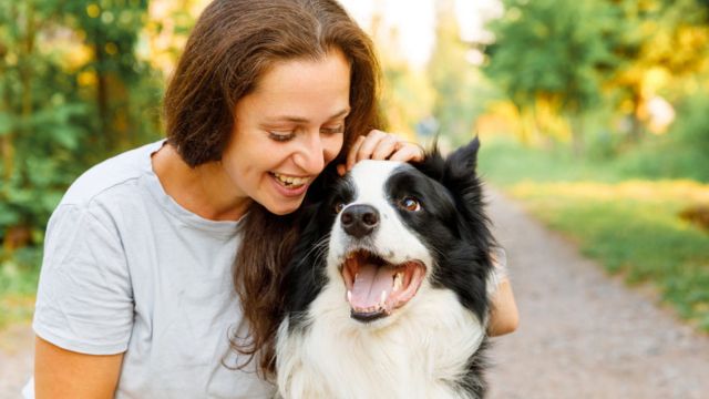 Petting Dogs: A Simple Way to Reduce Stress and Boost Happiness, According to Experts | ORBITAL AFFAIRS