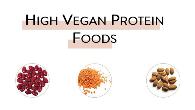 Top 5 Vegan Protein Options for a Healthy Diet | ORBITAL AFFAIRS